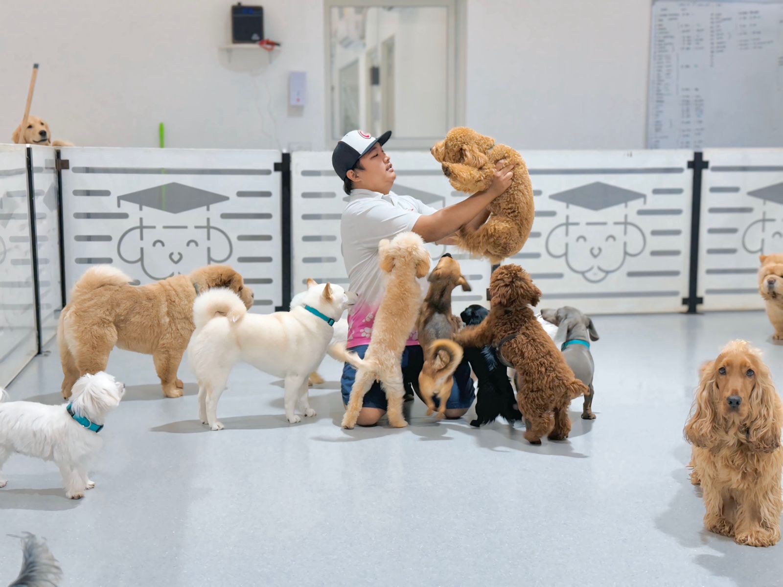Puppy having positive experiences